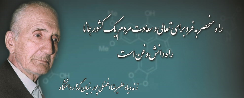 زندگی نامه مهندس علیرضا افضلی پور